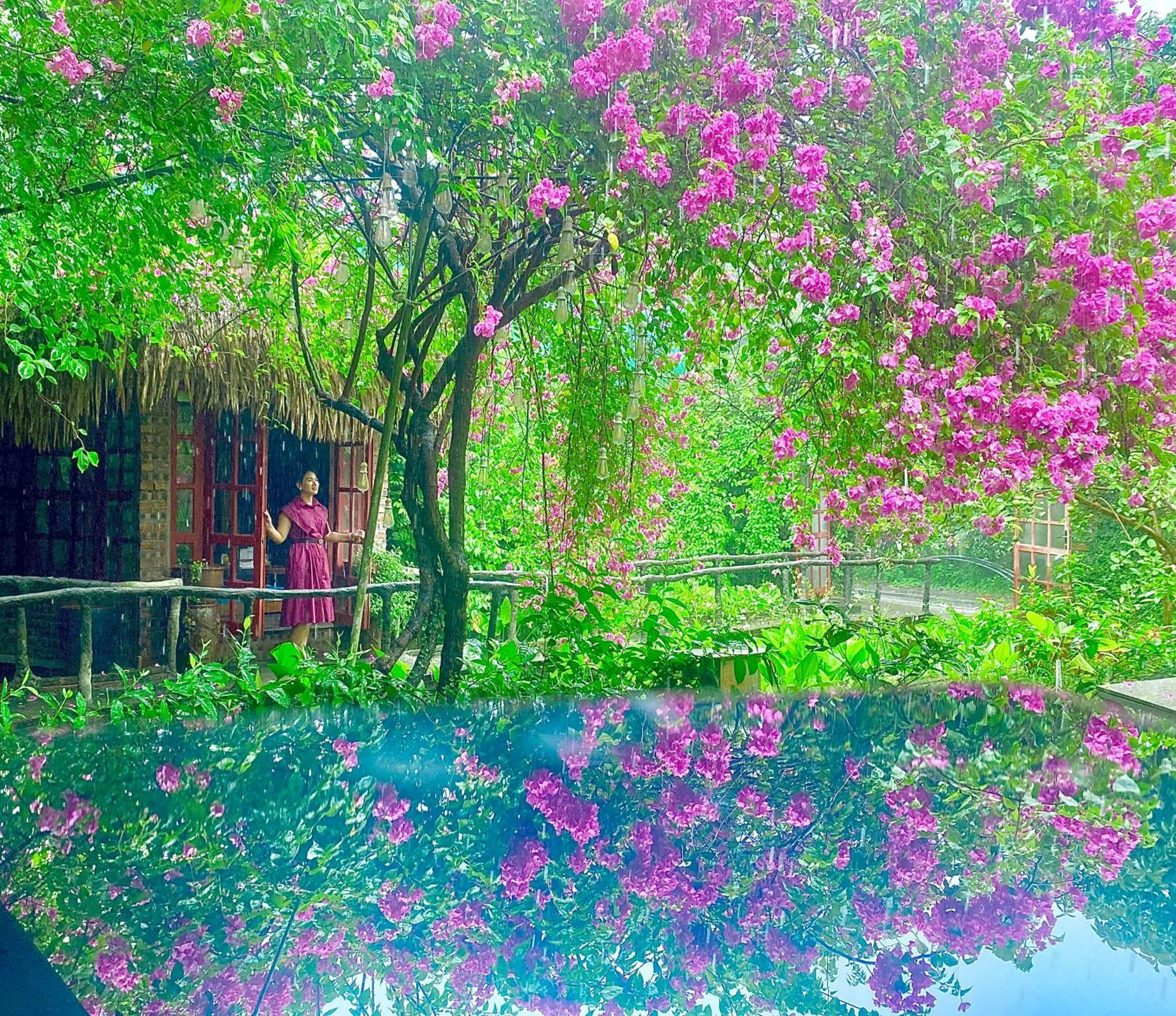 Maison Teahouse Homestay Хазянг Екстер'єр фото